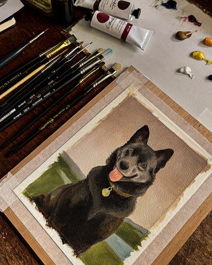 Bespoke Pet Commision